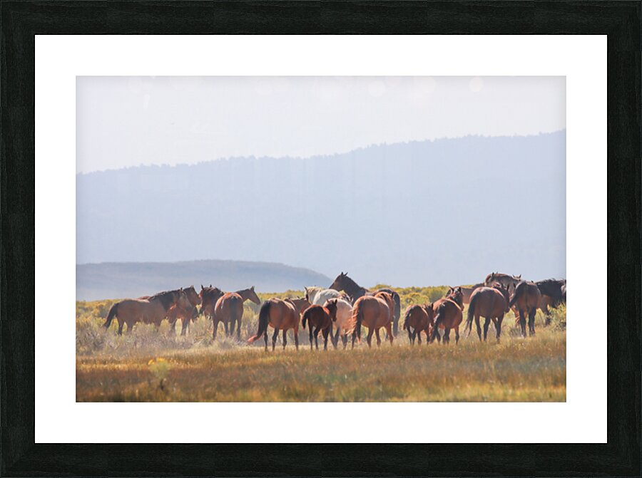 Mono Lake Wild Horse Series 1 Impression et Cadre photo