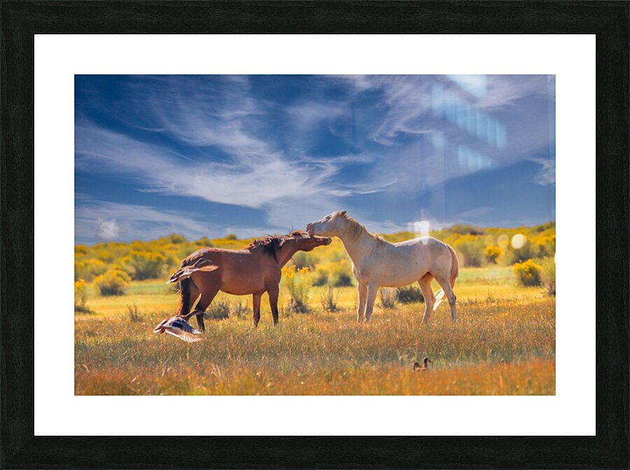 Mono Lake Wild Horse Series 1 Picture Frame print