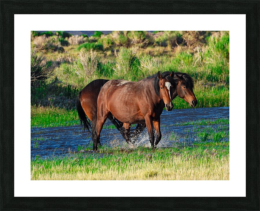 Nevada Mustang 1 6 Picture Frame print