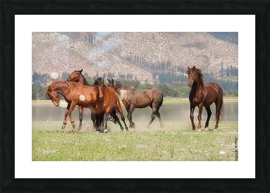 Nevada Wild 15 1 Impression et Cadre photo