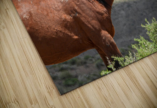 Wild  Horse Nevada Series 2 ImagesbyMJRoss puzzle