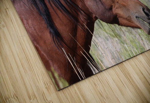 Nevada Virginia Range Series 1 ImagesbyMJRoss puzzle