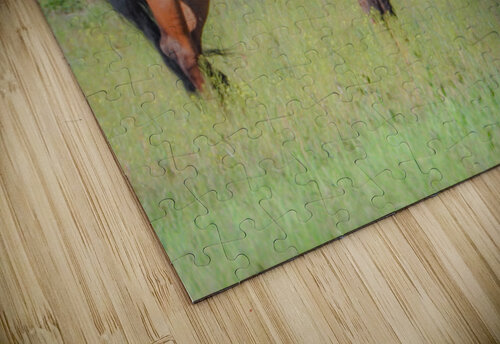 Nevada Virginia Range Series 8 ImagesbyMJRoss puzzle