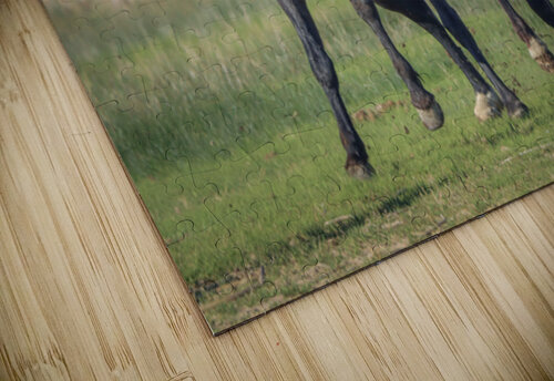 Nevada Virginia Range Series 18 ImagesbyMJRoss puzzle