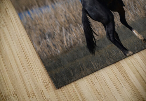 Nevada Virginia Range Series 22 ImagesbyMJRoss puzzle