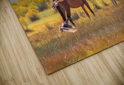 Mono Lake Wild Horse Series 1 ImagesbyMJRoss puzzle