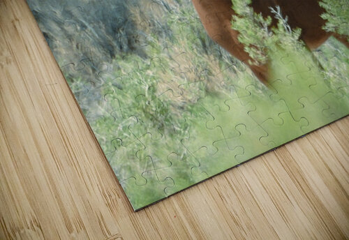 Nevada Mustang series 11 1 ImagesbyMJRoss puzzle