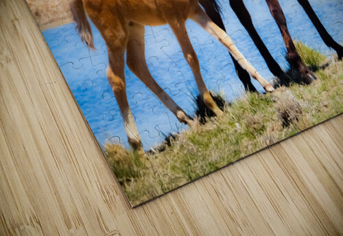 Nevada wild 6 ImagesbyMJRoss puzzle