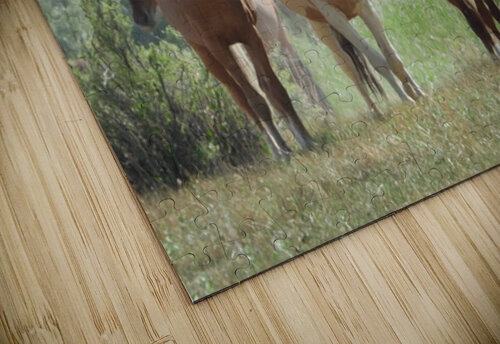 Nevada wild 2 1 ImagesbyMJRoss puzzle