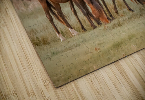 Nevada wild  Series VR1 1 ImagesbyMJRoss puzzle