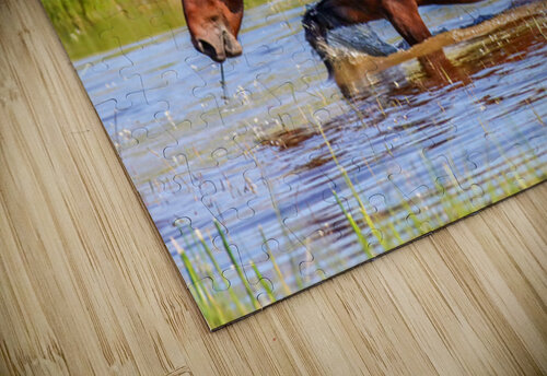 Nevada Mustang 1 4 ImagesbyMJRoss puzzle