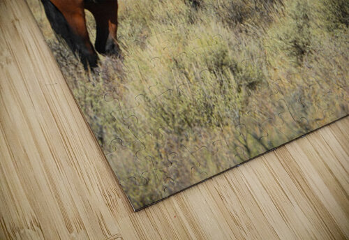 Nevada Mustang 2 2 ImagesbyMJRoss puzzle