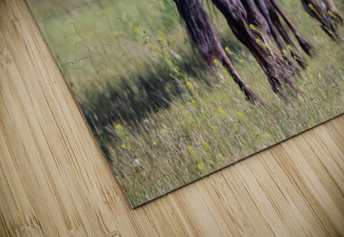 Nevada Wild 14 1 ImagesbyMJRoss puzzle