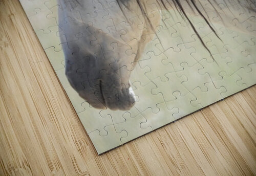 Utah Onaqui Wild Horses ImagesbyMJRoss puzzle