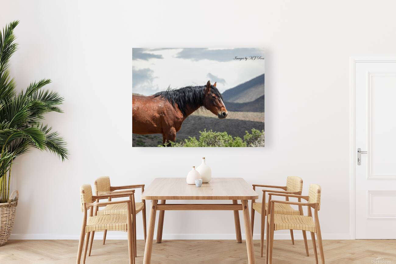 Wild  Horse Nevada Series 2 Reproduction