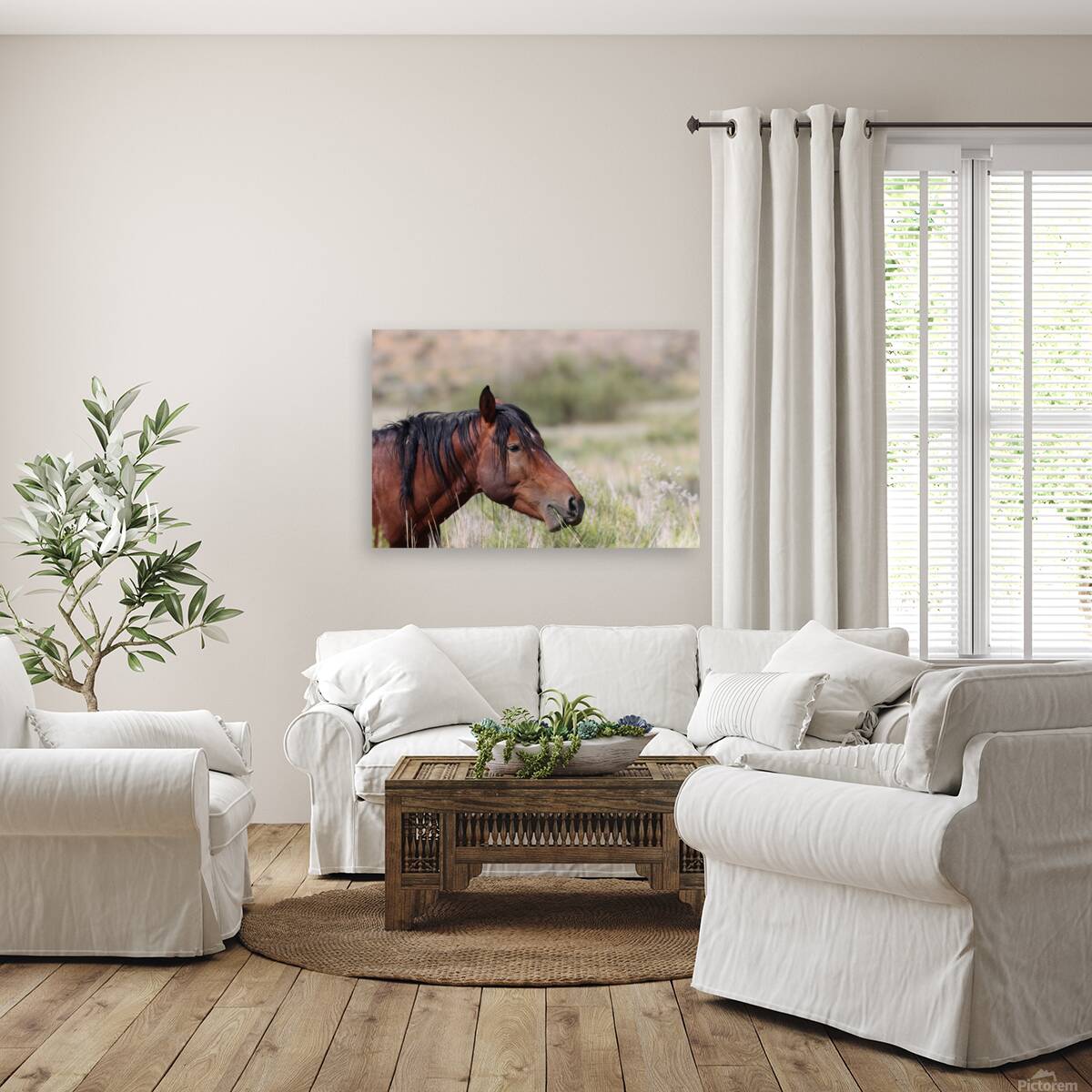 Nevada Virginia Range Series 1 Reproduction