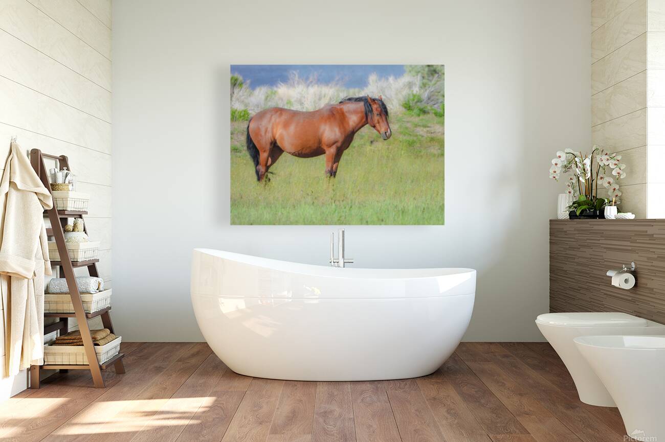 Nevada Virginia Range Series 8 Reproduction