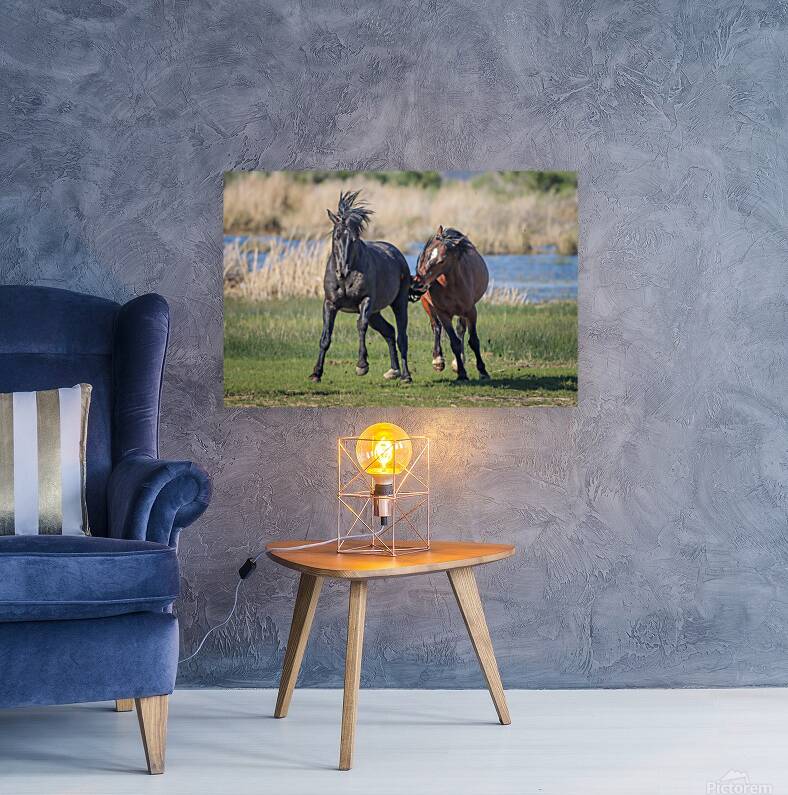 Nevada Virginia Range Series 18 Reproduction