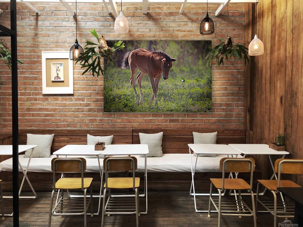 Nevada Virginia Range Series 30 Reproduction