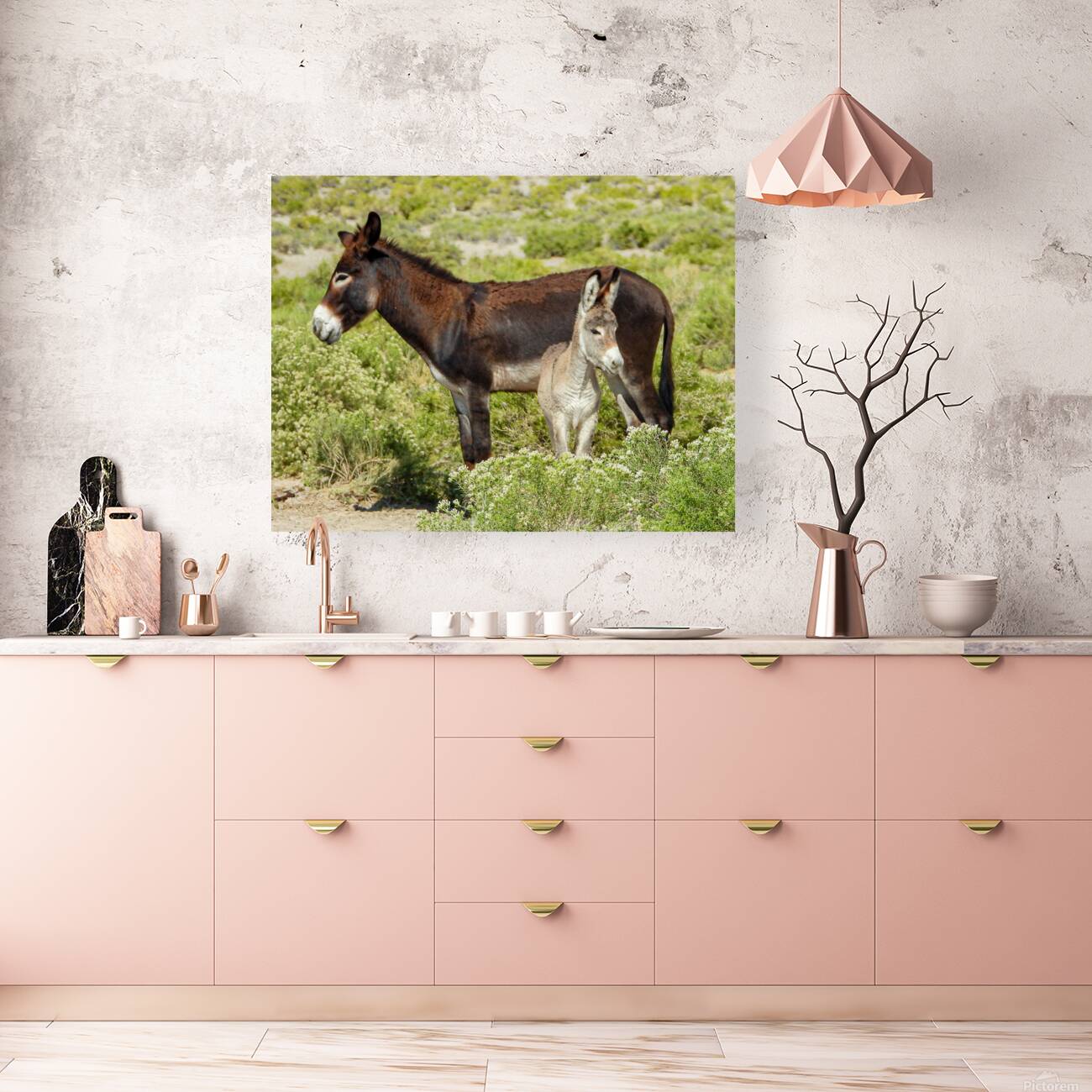 Marietta Wild Burro Range HMA 1 Reproduction