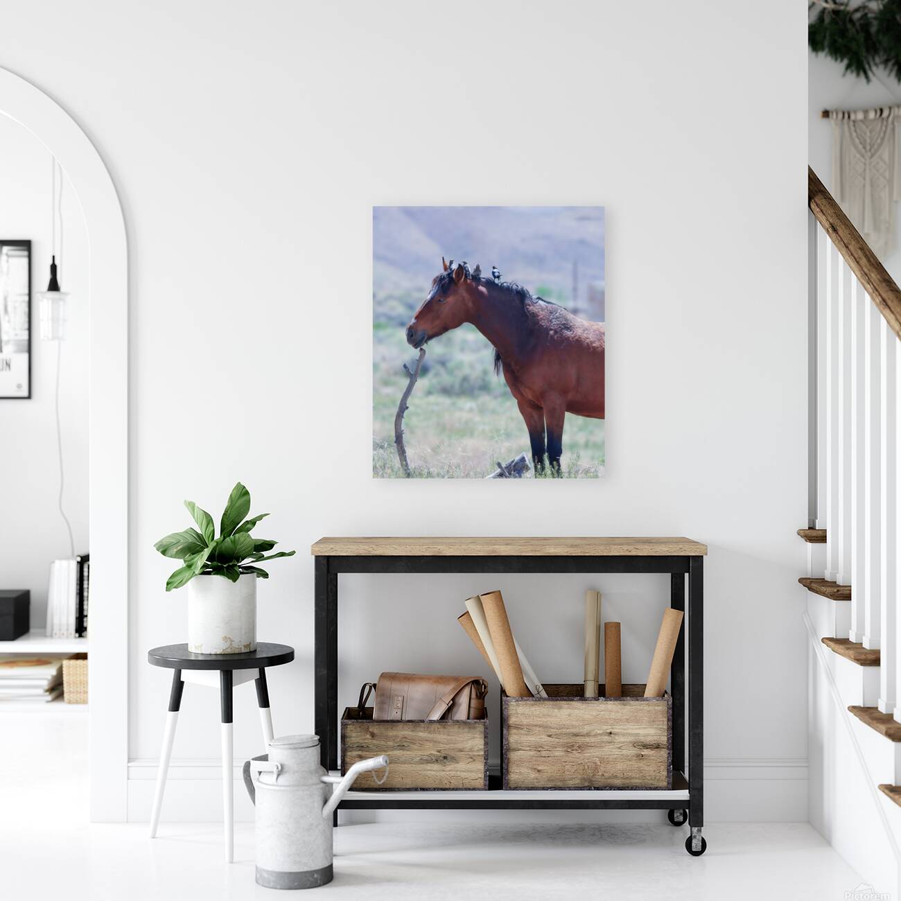 Nevada Mustang series1 1 Reproduction