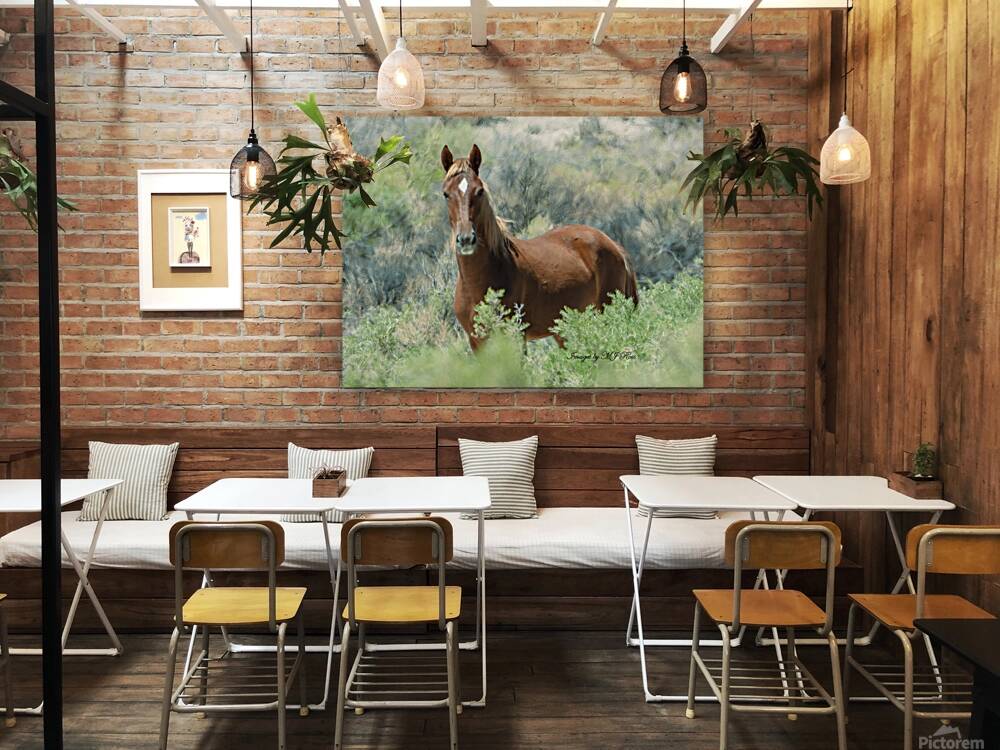 Nevada Mustang series 11 1 Reproduction