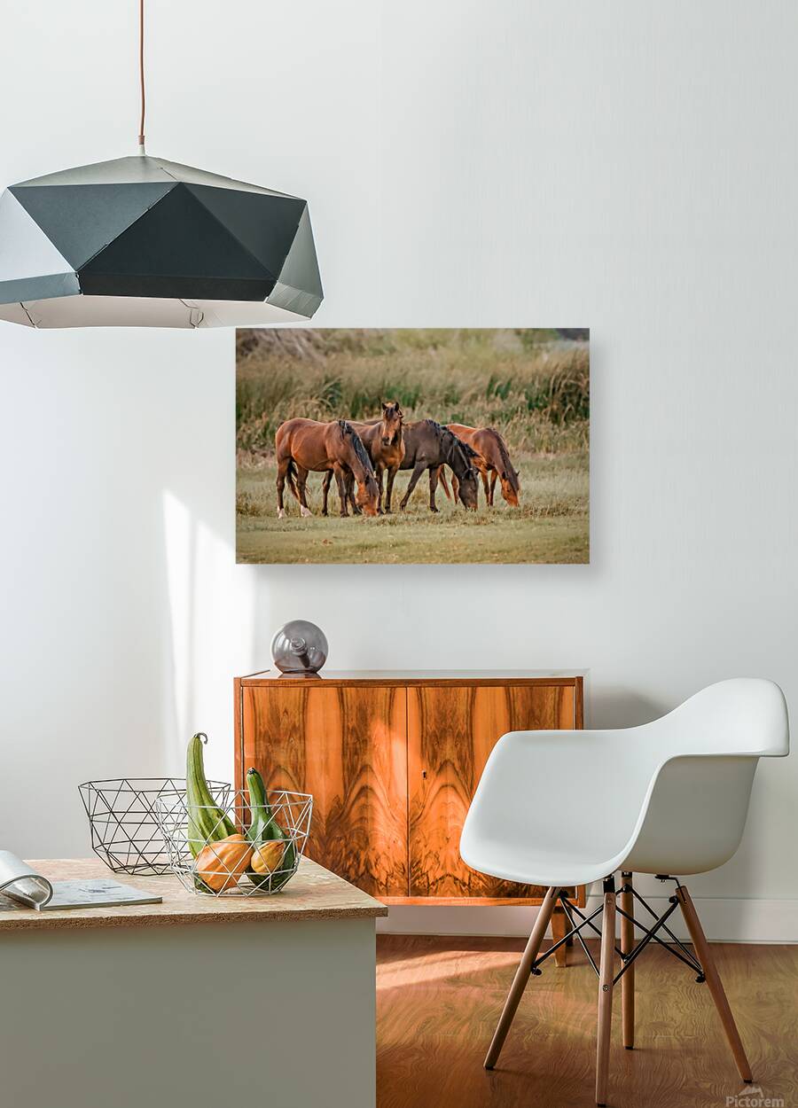 Nevada wild  Series VR1 1 Reproduction