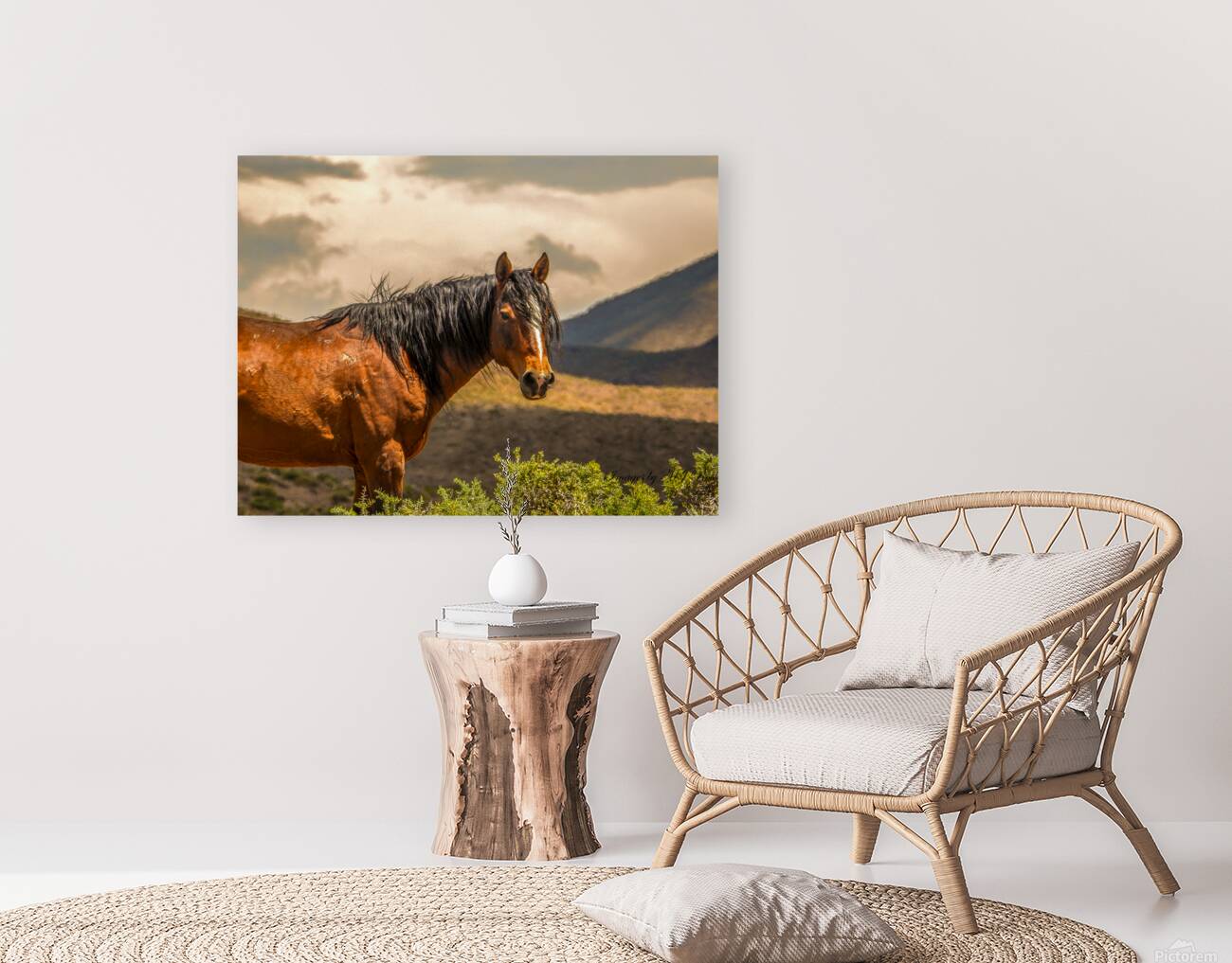 Nevada Mustang Series 16 1 Reproduction