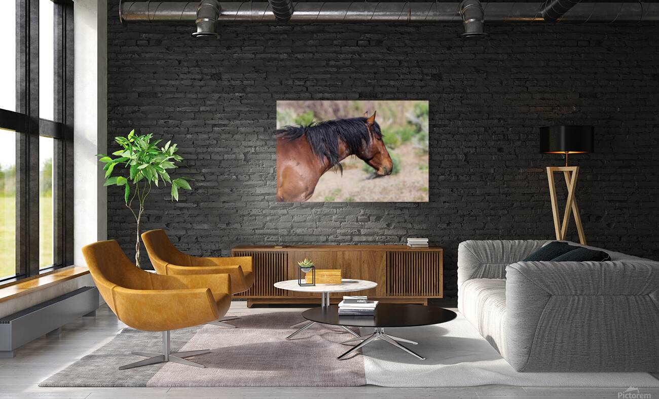 Nevada Mustang 2 4 Reproduction