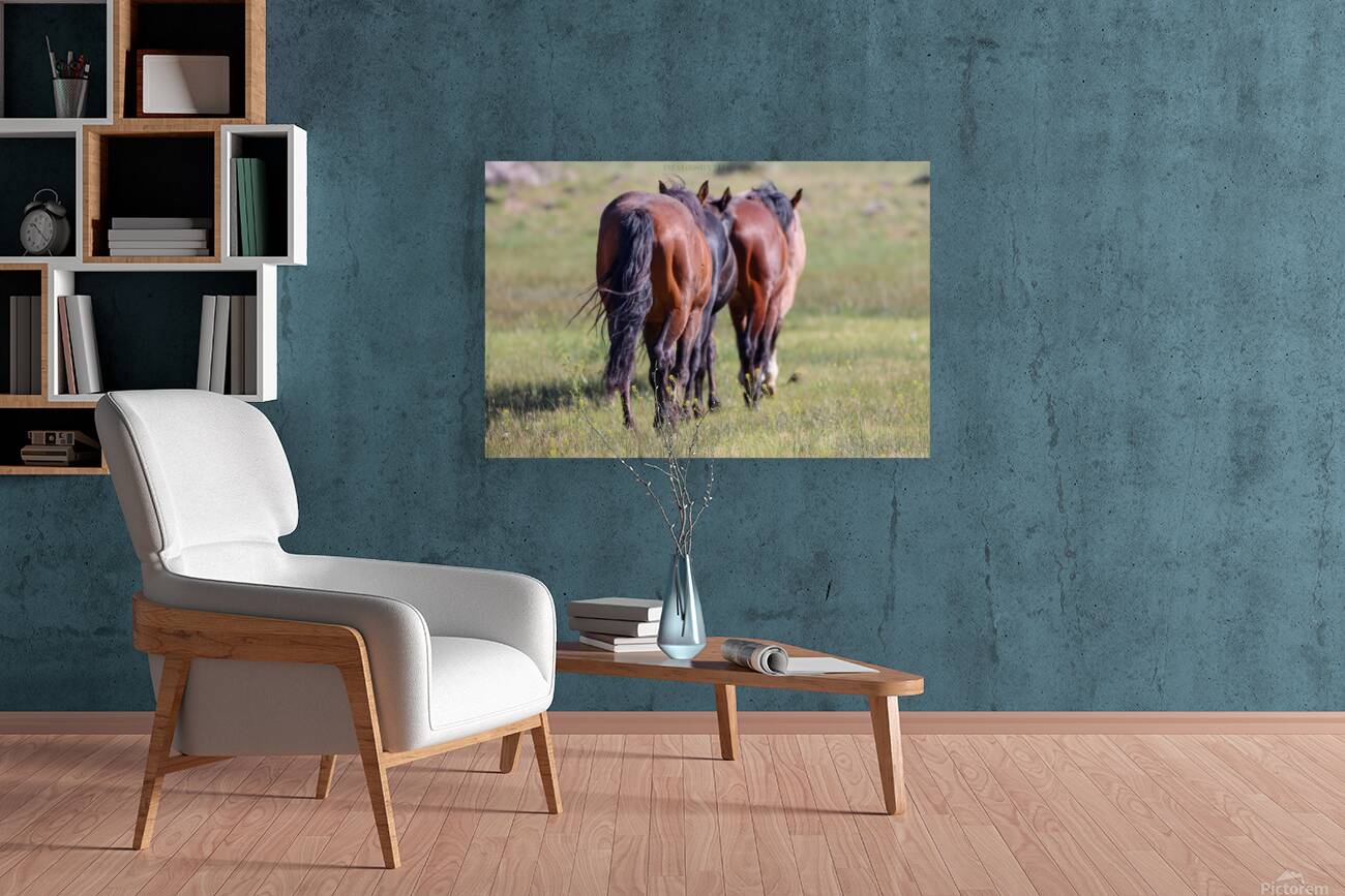 Nevada Wild 14 1 Reproduction