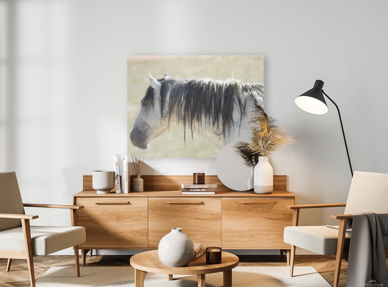 Utah Onaqui Wild Horses Reproduction