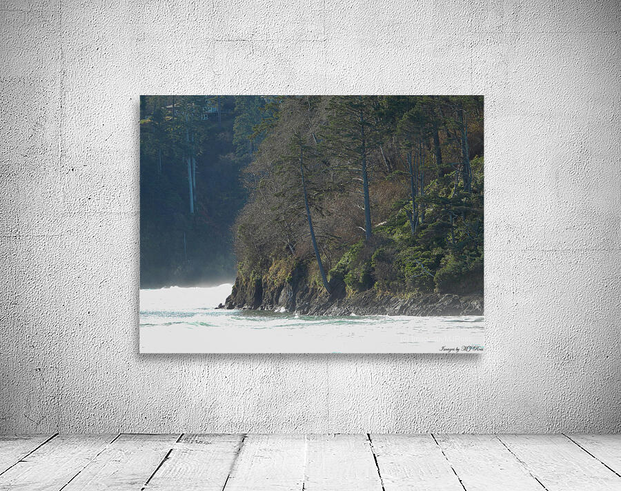 Oregon Coast 1 Wall Preview