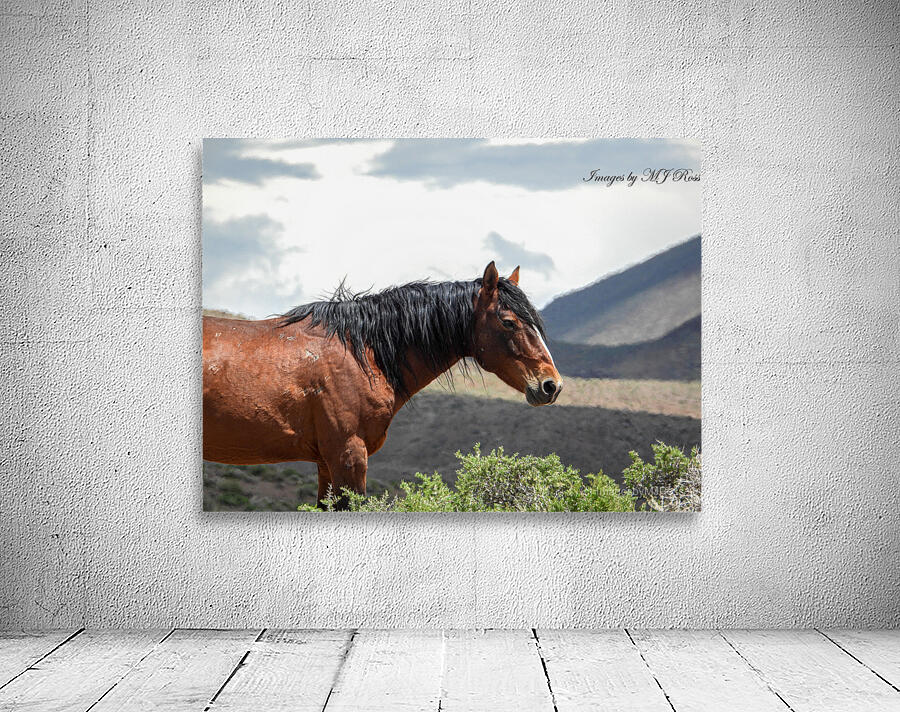 Wild  Horse Nevada Series 2 Wall Preview