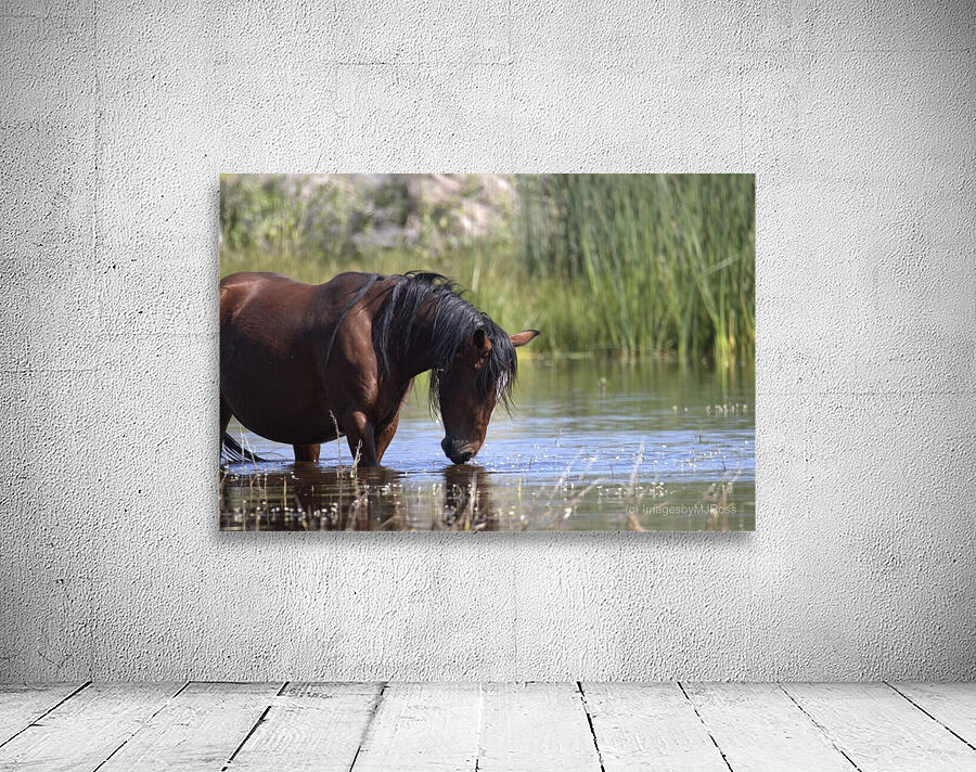 Wild Horse Nevada Series 5 Wall Preview