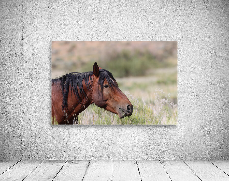 Nevada Virginia Range Series 1 Wall Preview