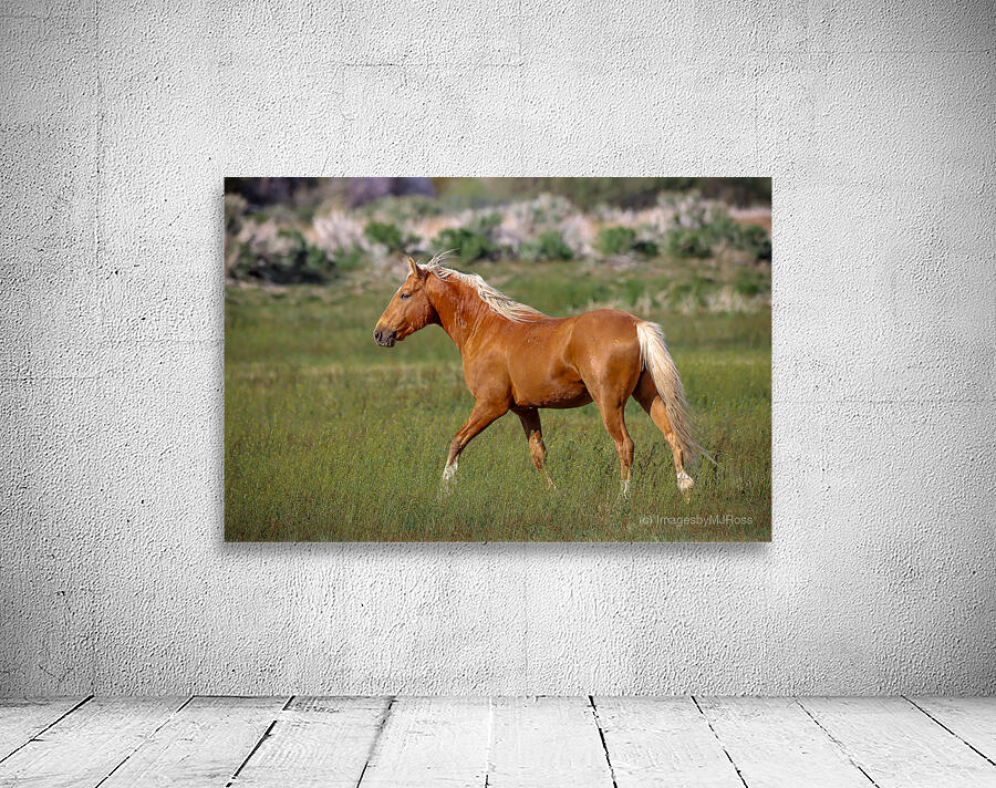 Nevada Virginia Range Series 12 Wall Preview