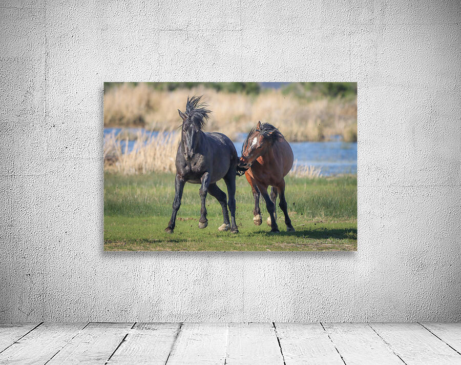 Nevada Virginia Range Series 18 Wall Preview