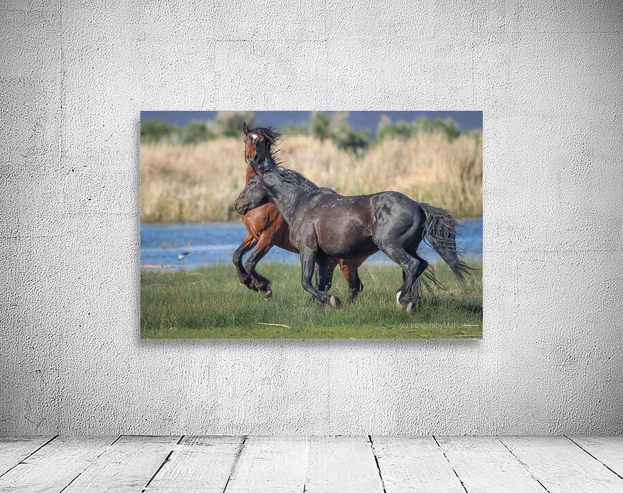 Nevada Virginia Range Series 26 Wall Preview