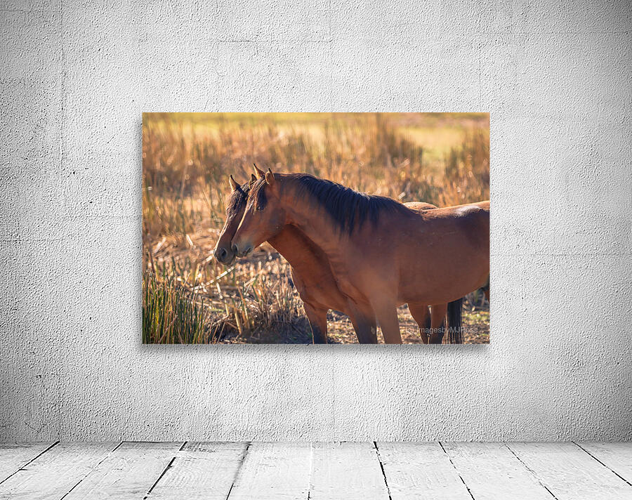 Nevada Virginia Range Series 34 Wall Preview