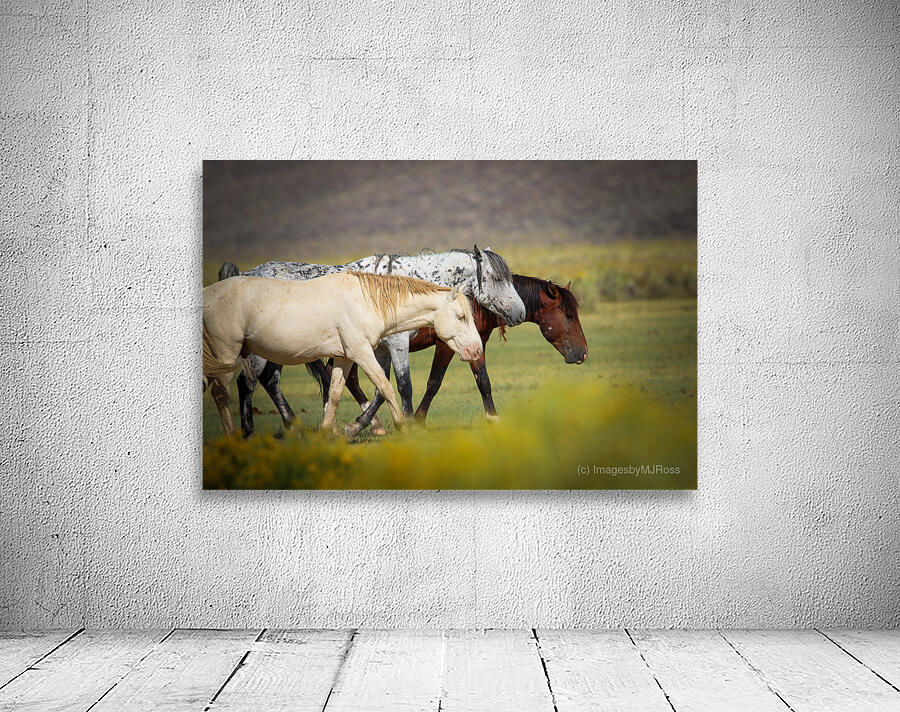 Mono Lake Wild Horse Series 1 Wall Preview