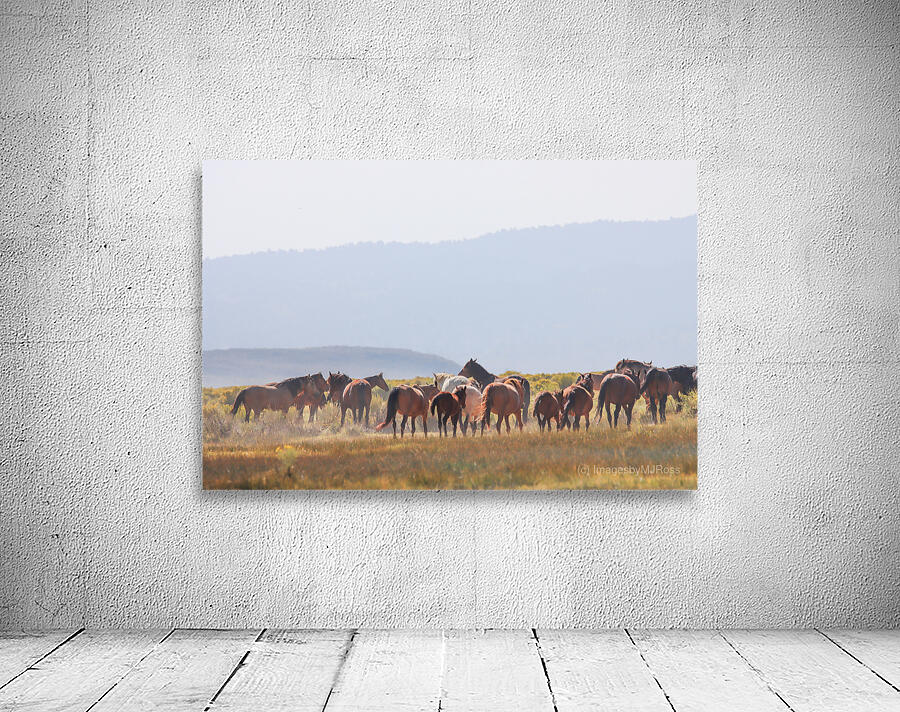 Mono Lake Wild Horse Series 1 Wall Preview