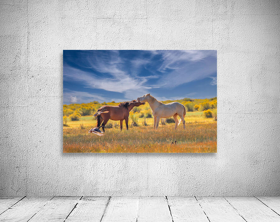 Mono Lake Wild Horse Series 1 Wall Preview