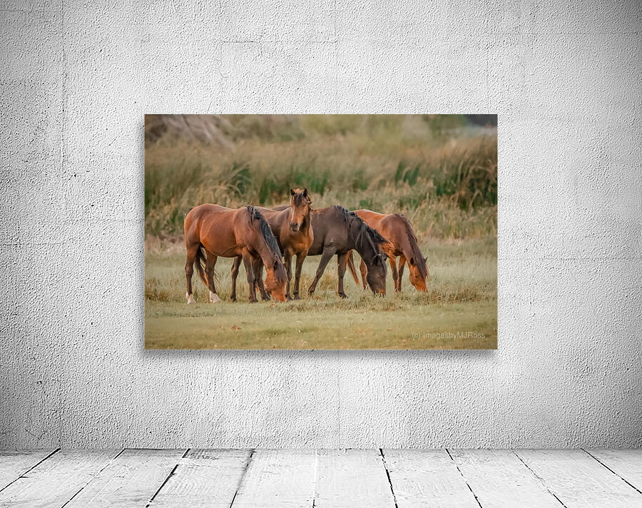 Nevada wild  Series VR1 1 Wall Preview