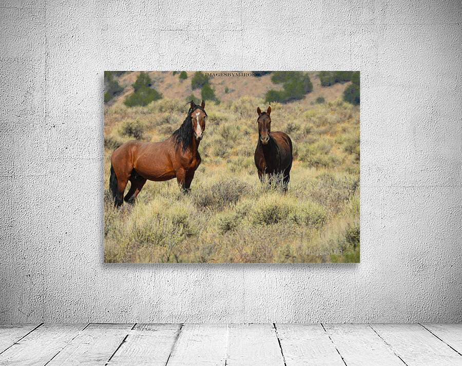 Nevada Mustang 2 2 Wall Preview