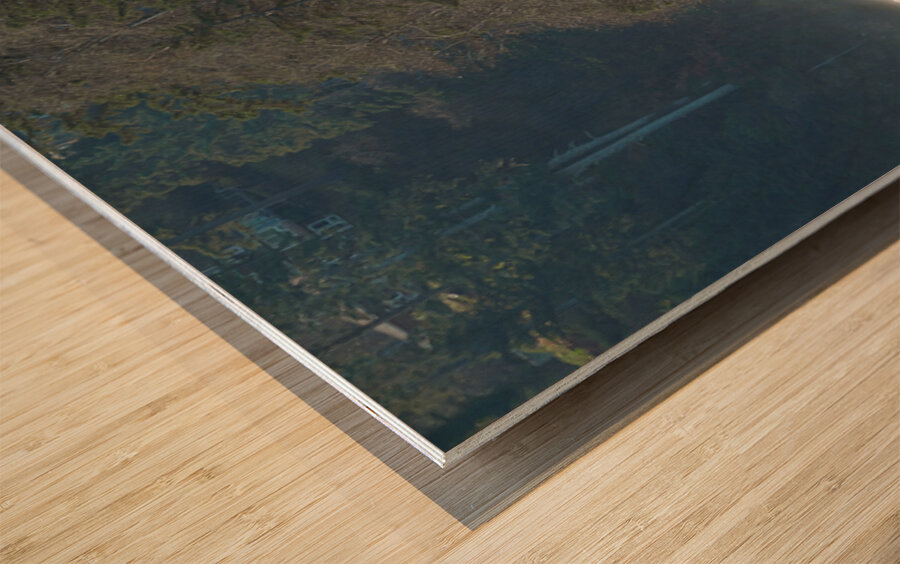 Oregon Coast 1 Wood print