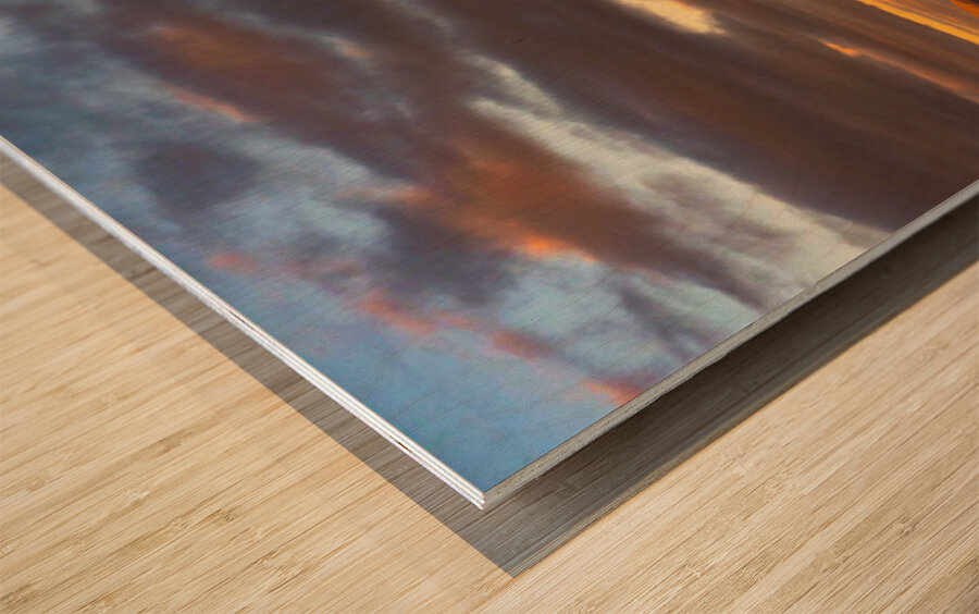 Nevada Landscape 5 Wood print