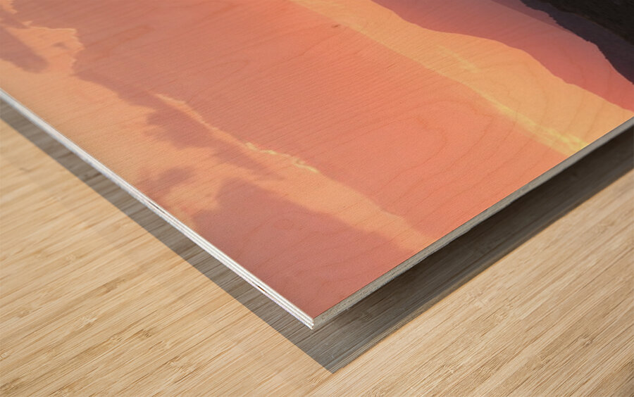 Nevada Landscapes 2 Wood print