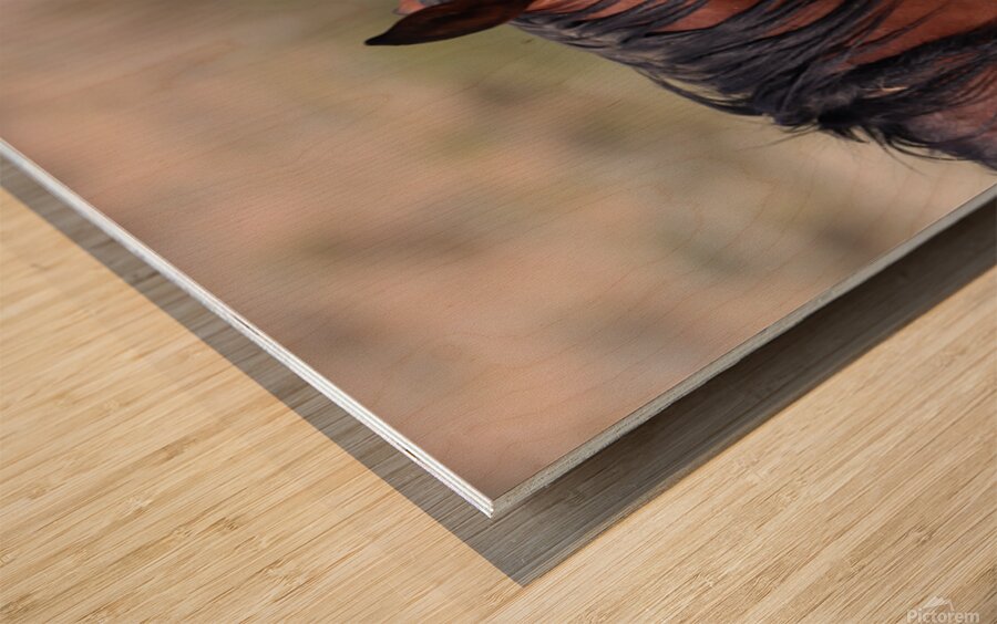 Nevada Virginia Range Series 1 Wood print