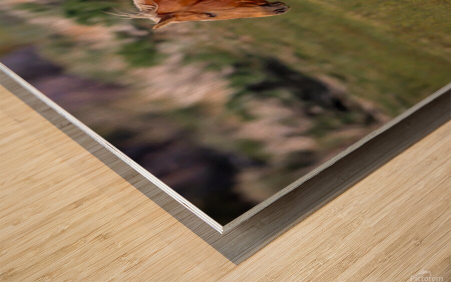 Nevada Virginia Range Series 12 Wood print