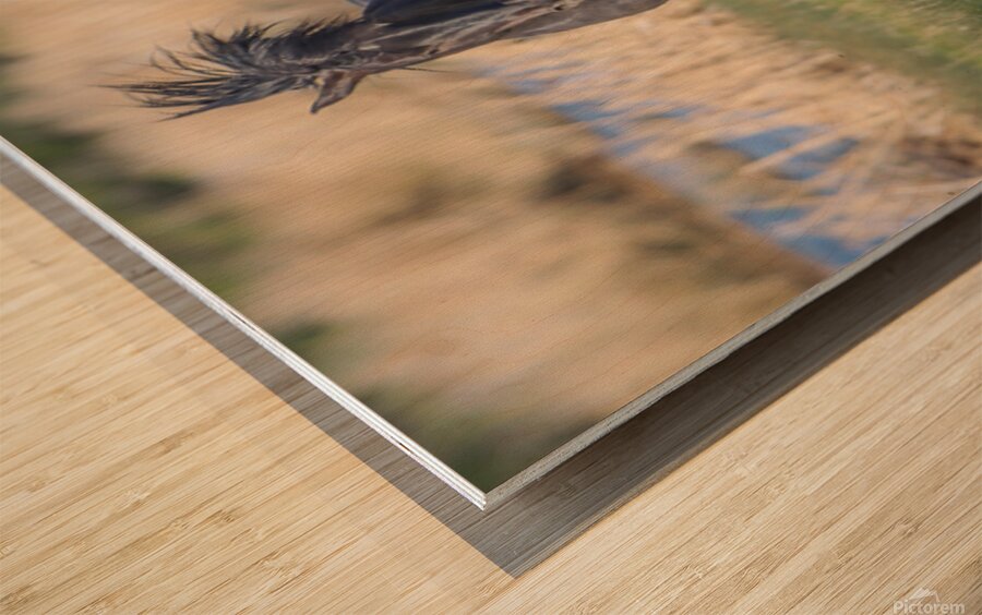 Nevada Virginia Range Series 18 Wood print